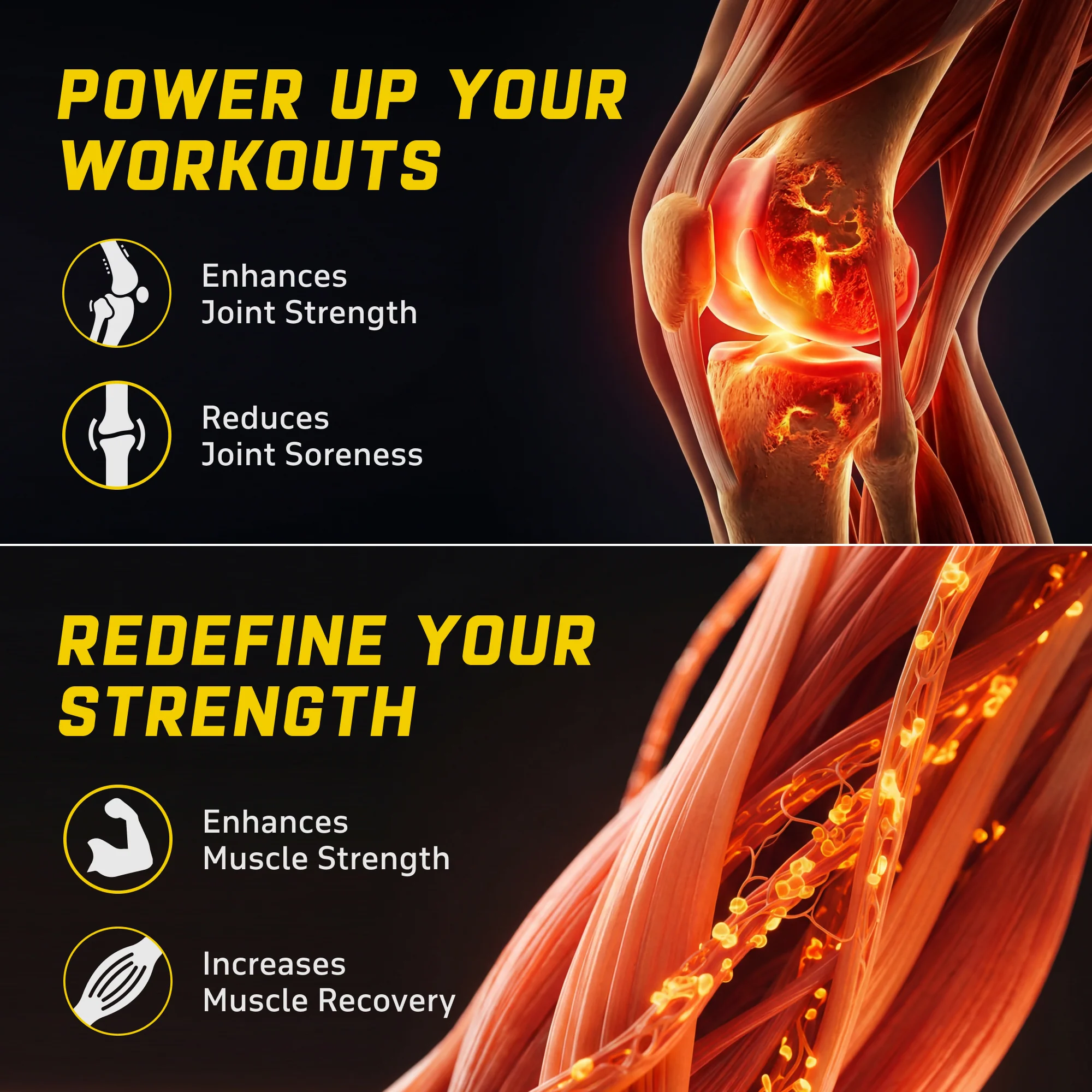 YouWeFit Omega-3 Alpha Recovery Capsules - Image 7